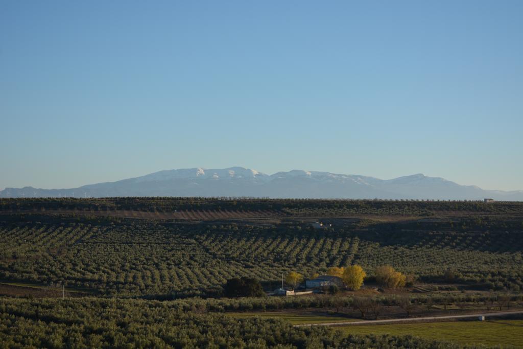 Casas Cuevas Elmirador Pension Fontanar Buitenkant foto
